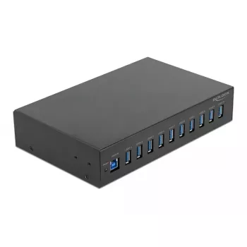 USB šakotuvas DeLOCK 64112