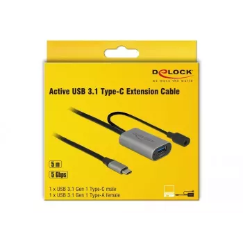 USB laidas DeLOCK 85391 USB 3.2 Gen 1 5 m USB A USB C juodas pilkas