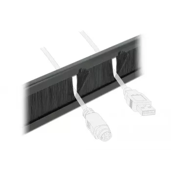 Šepečių panelė DeLOCK 66345 10 inch