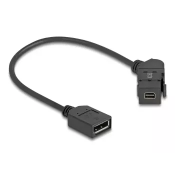 DeLOCK 67155 lyties keitiklis Mini DisplayPort → DisplayPort juodas 0,3 m
