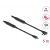USB-C laidas DeLOCK 81196 5 m juodas 10 Gbit/s
