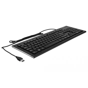 Klaviatūra DeLOCK 12672 Office USB QWERTZ vokiška juoda