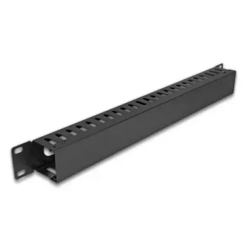 Kabelių tvarkymo panelė DELOCK 19 inch 1U metalinė, 2 angos, juoda