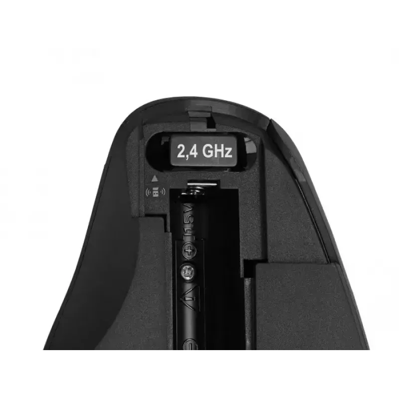 Pelė DeLOCK 12598 Bluetooth USB Type-A vertikali