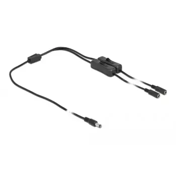 DeLOCK 86794 DC maitinimo kabelis 5,5 x 2,1 mm kištukas į 2 lizdus su jungikliu 1 m