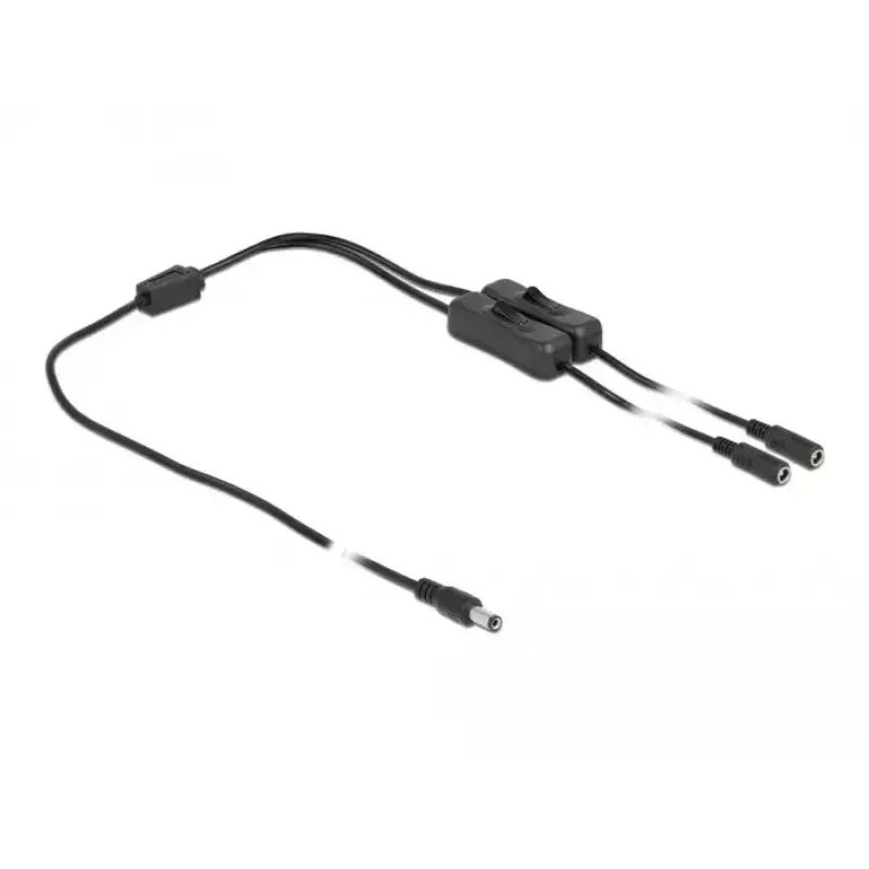 DeLOCK 86794 DC maitinimo kabelis 5,5 x 2,1 mm kištukas į 2 lizdus su jungikliu 1 m