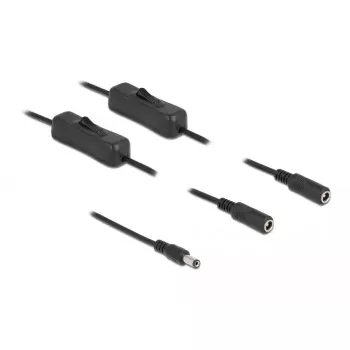 DeLOCK 86794 DC maitinimo kabelis 5,5 x 2,1 mm kištukas į 2 lizdus su jungikliu 1 m