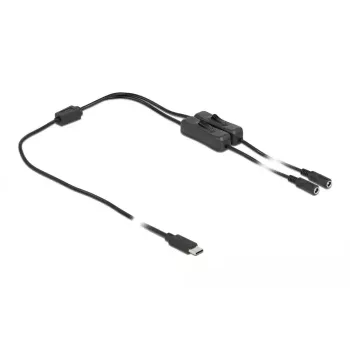 Laidas USB Type-C (vyriškas) į 2 x DC 5,5 x 2,1 mm (moteriškas) su jungikliu DeLOCK 86800