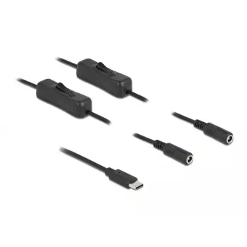 Laidas USB Type-C (vyriškas) į 2 x DC 5,5 x 2,1 mm (moteriškas) su jungikliu DeLOCK 86800