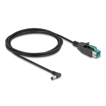 DeLOCK PoweredUSB kabelis 12 V į DC 5,5 x 2,5 mm kampinis 2 m