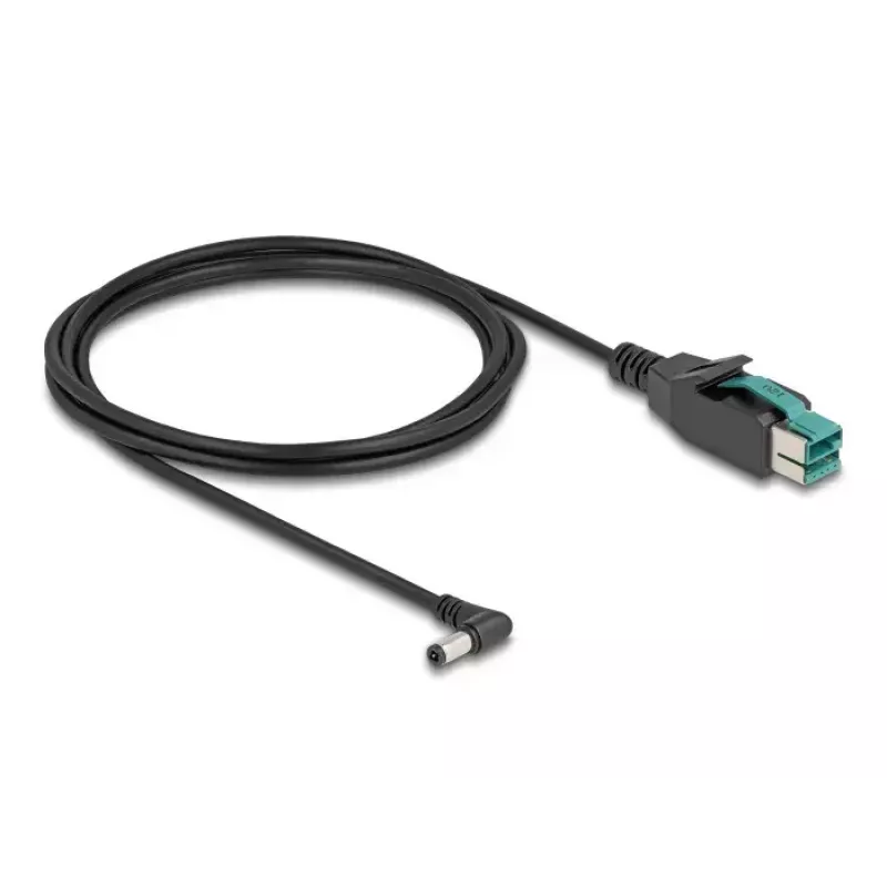 DeLOCK PoweredUSB kabelis 12 V į DC 5,5 x 2,5 mm kampinis 2 m