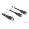 DeLOCK jutiklio/vykdomojo įtaiso kabelis 2 m M12 2 x USB Type-A juodas 60291