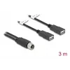 DeLOCK 60651 jutiklio/vykdiklio kabelis 3 m M12 2 x USB Type-A juodas