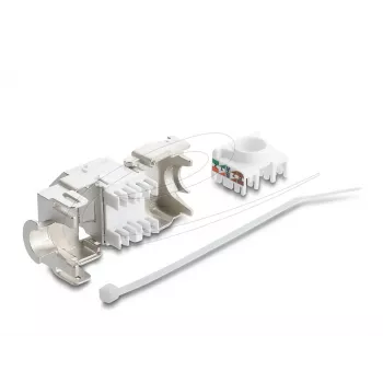 Keystone modulis DELOCK 90938 — RJ-45 Cat.6A ekranuotas plokščias, baltas