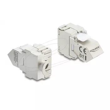 Keystone modulis DELOCK 90938 — RJ-45 Cat.6A ekranuotas plokščias, baltas