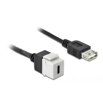 Keystone modulis DeLOCK 86391 USB C plokščias juodas baltas