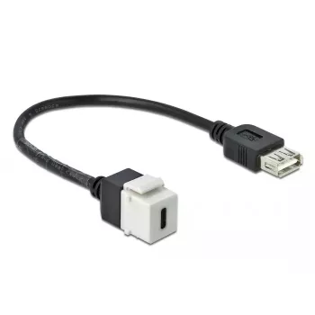 Keystone modulis DeLOCK 86391 USB C plokščias juodas baltas