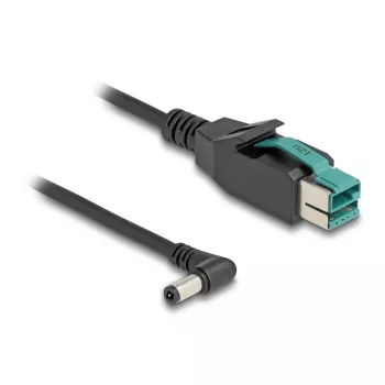DeLOCK PoweredUSB kabelis vyriškas 12 V į DC 5,5 x 2,5 mm vyriškas kampuotas 3 m
