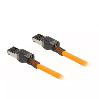 Tinklo kabelis DeLOCK RJ45 USB Type-C 3 m Cat6A Oranžinis