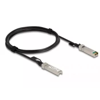 DeLOCK Twinax kabelis SFP+ kištukas – SFP+ kištukas 2 m 84204