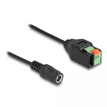 DeLOCK adapteris DC 2,1 x 5,5 mm kištukas į 2 kontaktų gnybtų bloką 15 cm