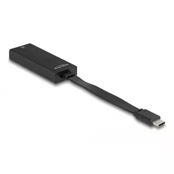DeLOCK 66246 lyties keitiklis RJ-45 USB C juodas 0,09 m