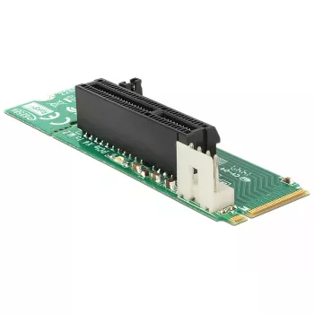 Vidinis M.2 adapteris DeLOCK 62584
