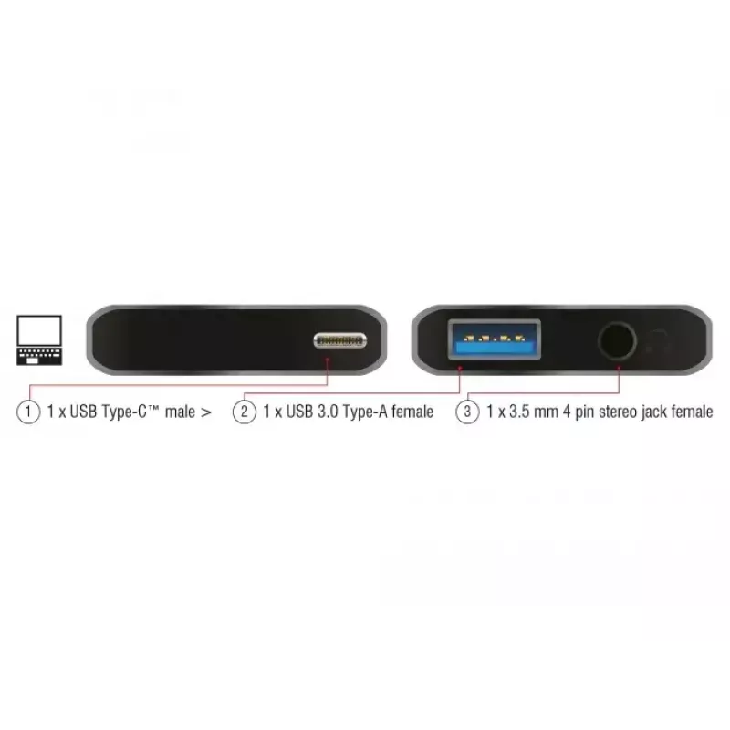 DeLOCK 63965 USB-C garso adapteris (3,5 mm lizdas + USB-A), antracito atspalvio
