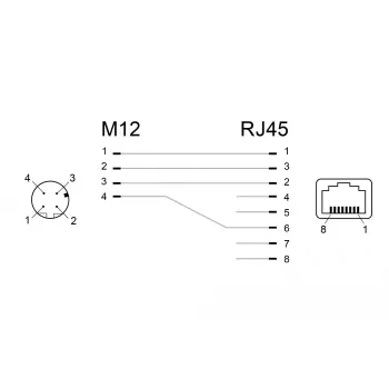 DeLOCK 66312 lyties keitiklis M12 į RJ45