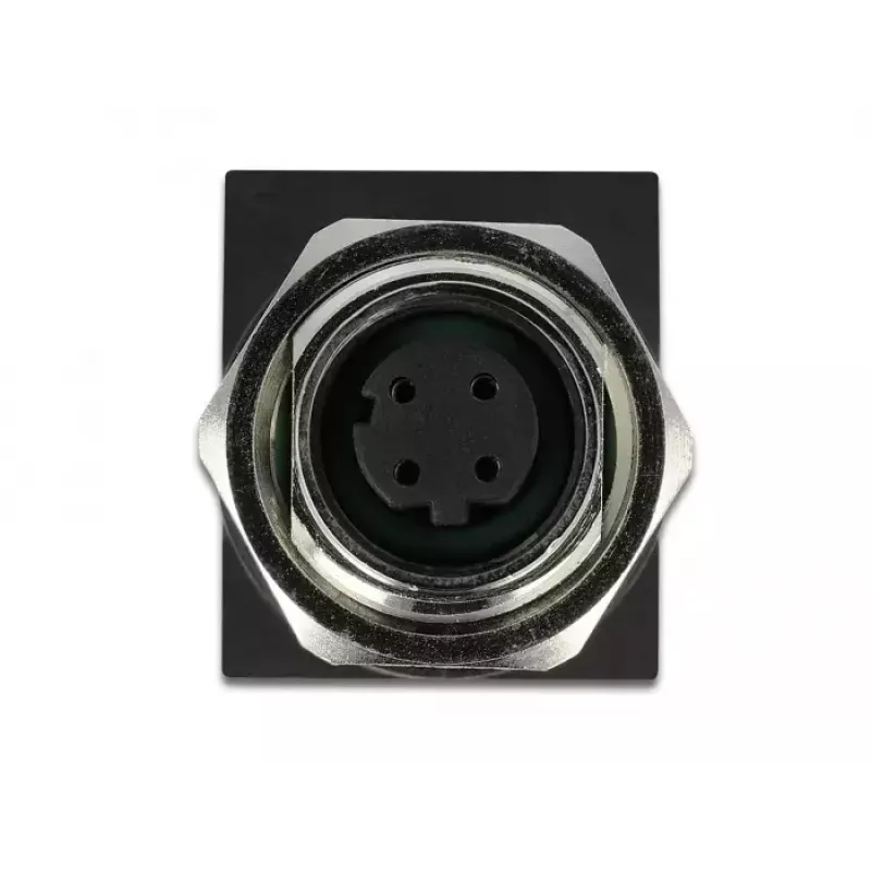 DeLOCK 66312 lyties keitiklis M12 į RJ45