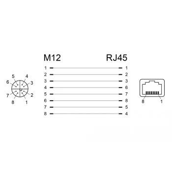 Lyties keitiklis DeLOCK 66316 M12 į RJ45, juodas