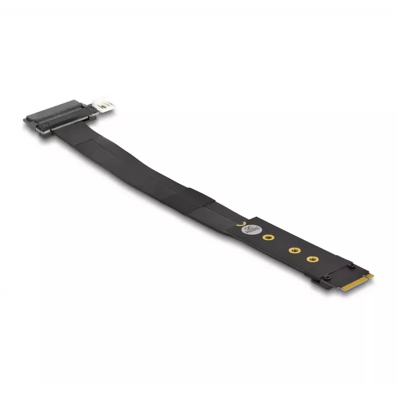 DeLOCK M.2 Key M į U.2 SFF-8639 NVMe adapteris su 20 cm kabeliu