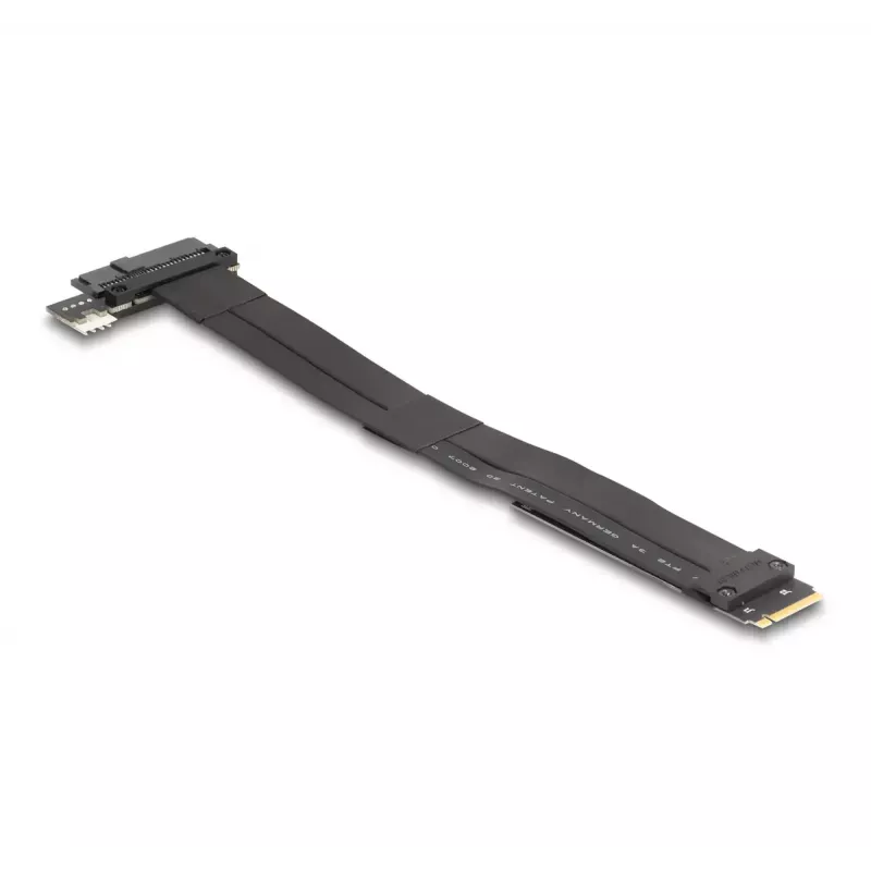 DeLOCK M.2 Key M į U.2 SFF-8639 NVMe adapteris su 20 cm kabeliu