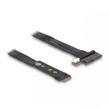 DeLOCK M.2 Key M į U.2 SFF-8639 NVMe adapteris su 20 cm kabeliu