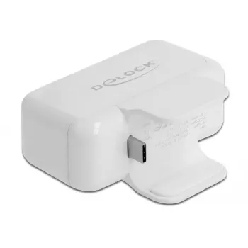 USB šakotuvas DeLOCK 64079