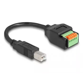 DeLOCK USB Type-C 2.0 Moteriškas į Terminalų Bloką Adapteris 66457