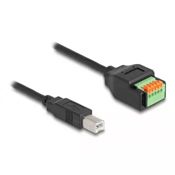 DeLOCK USB Type-C 2.0 Moteriškas į Terminalų Bloką Adapteris 66457