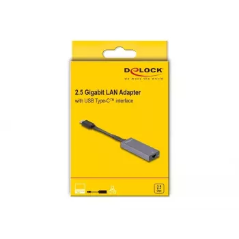 DeLOCK 66248 adapteris USB-C į RJ45 su išlankstoma jungtimi, NBASE-T, 1G/2.5G, pilka, 0,09 m