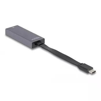 DeLOCK 66248 adapteris USB-C į RJ45 su išlankstoma jungtimi, NBASE-T, 1G/2.5G, pilka, 0,09 m