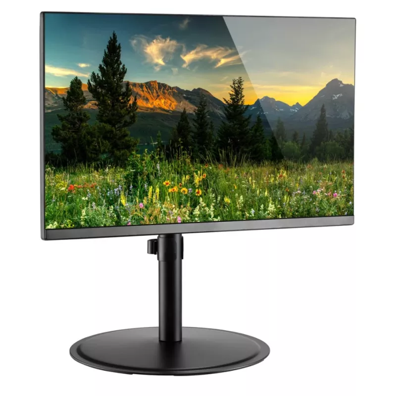 Techly ICA-LCD 401 monitorio laikiklis / stovas 81,3 cm (32 col.) stalas Juoda