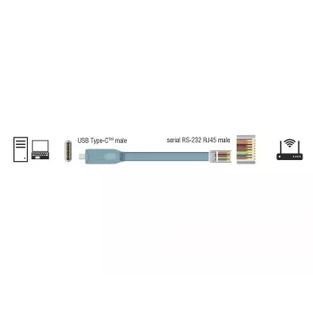 Serijinis kabelis DeLOCK 89893 USB 2.0 Type-C RJ45 pilkas 1 m
