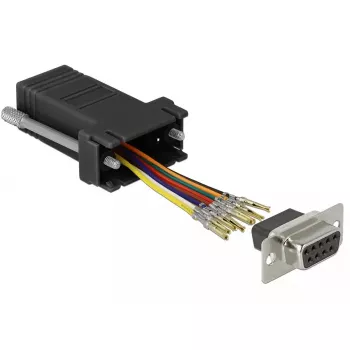 Lyties keitiklis DeLOCK 66165 (Sub-D 9 (DB9) → RJ-45)