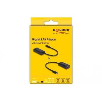 DeLOCK 61026 lyties keitiklis USB-C į RJ45, 0,17 m, juodas