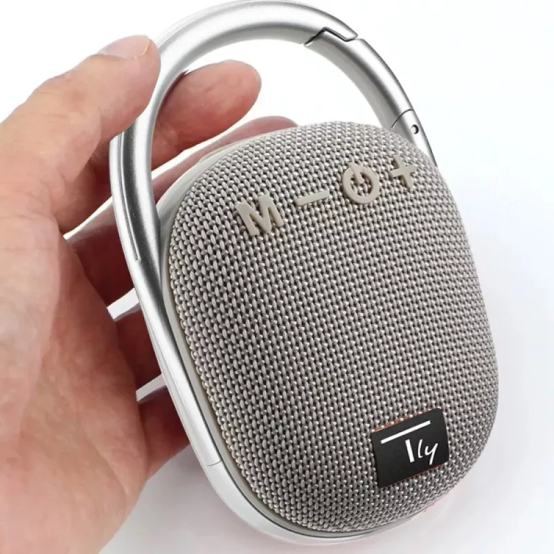 Techly ICASBL321GR Nešiojamas vieno kanalo garsiakalbis Pilka 5 W