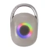 Techly ICASBL321GR Nešiojamas vieno kanalo garsiakalbis Pilka 5 W