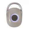 Techly ICASBL321GR Nešiojamas vieno kanalo garsiakalbis Pilka 5 W