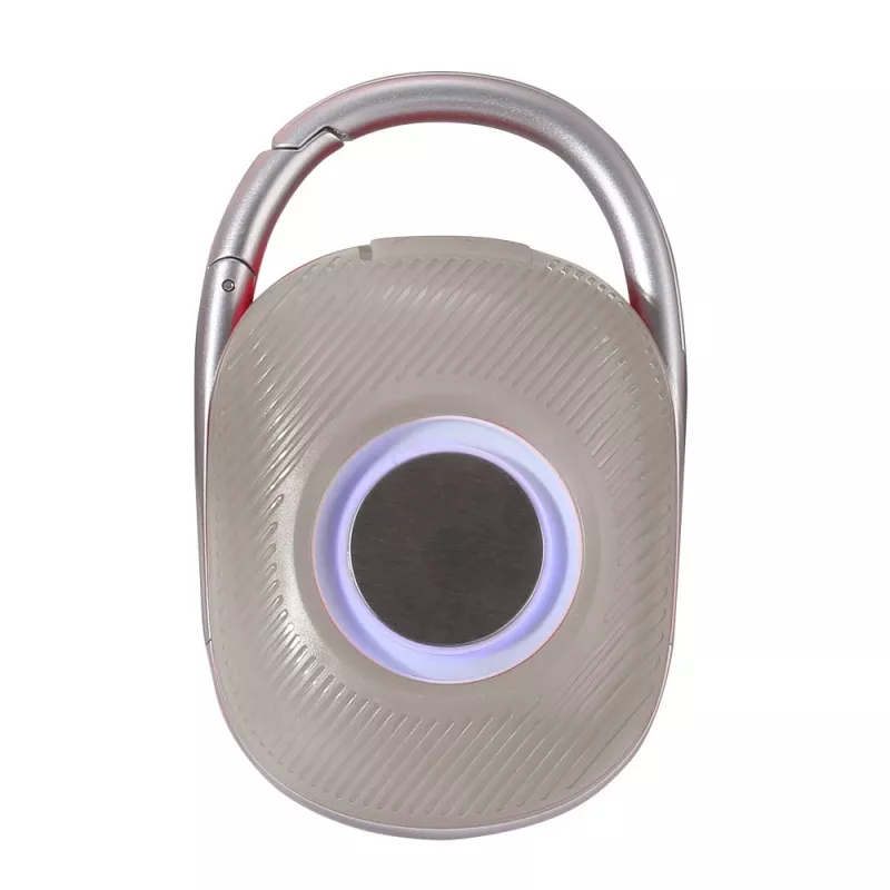 Techly ICASBL321GR Nešiojamas vieno kanalo garsiakalbis Pilka 5 W