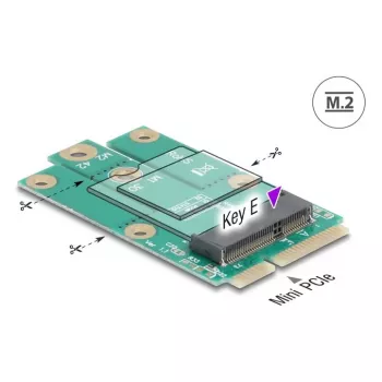 DeLOCK 64338 Vidinė M.2 adapterio plokštė Mini PCI Express (vyriška)