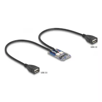 DeLOCK 64346 Vidinis USB 2.0 adapteris Mini PCI Express vyriškas