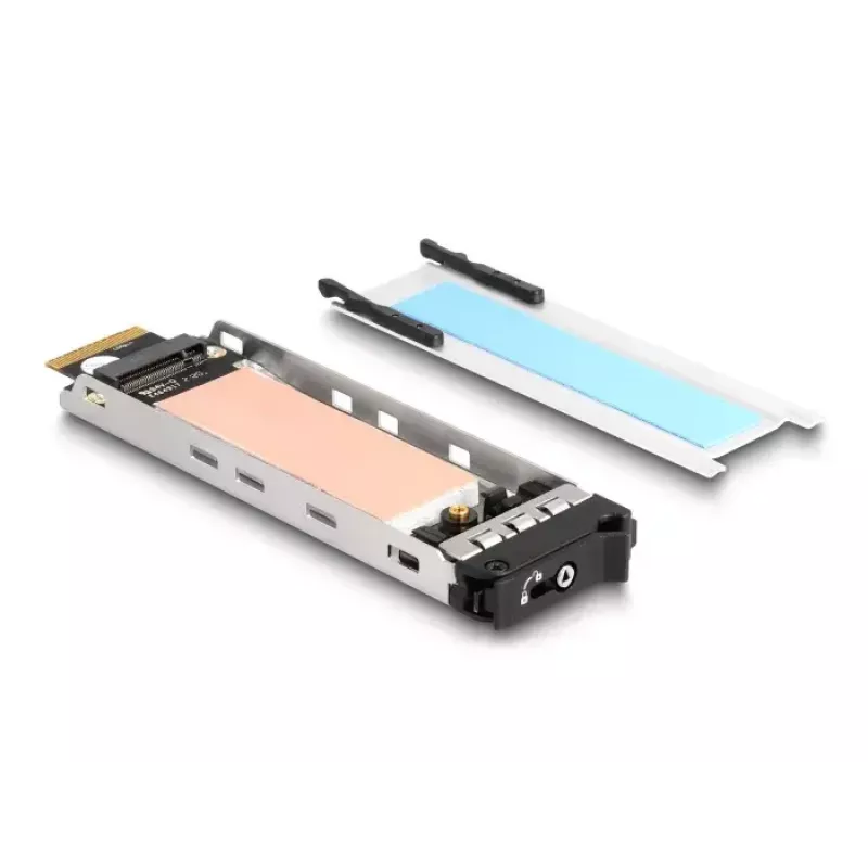 DeLOCK PCI Express kortelė su M.2 NVMe SSD dėklu 1 x M.2 NVMe Low Profile